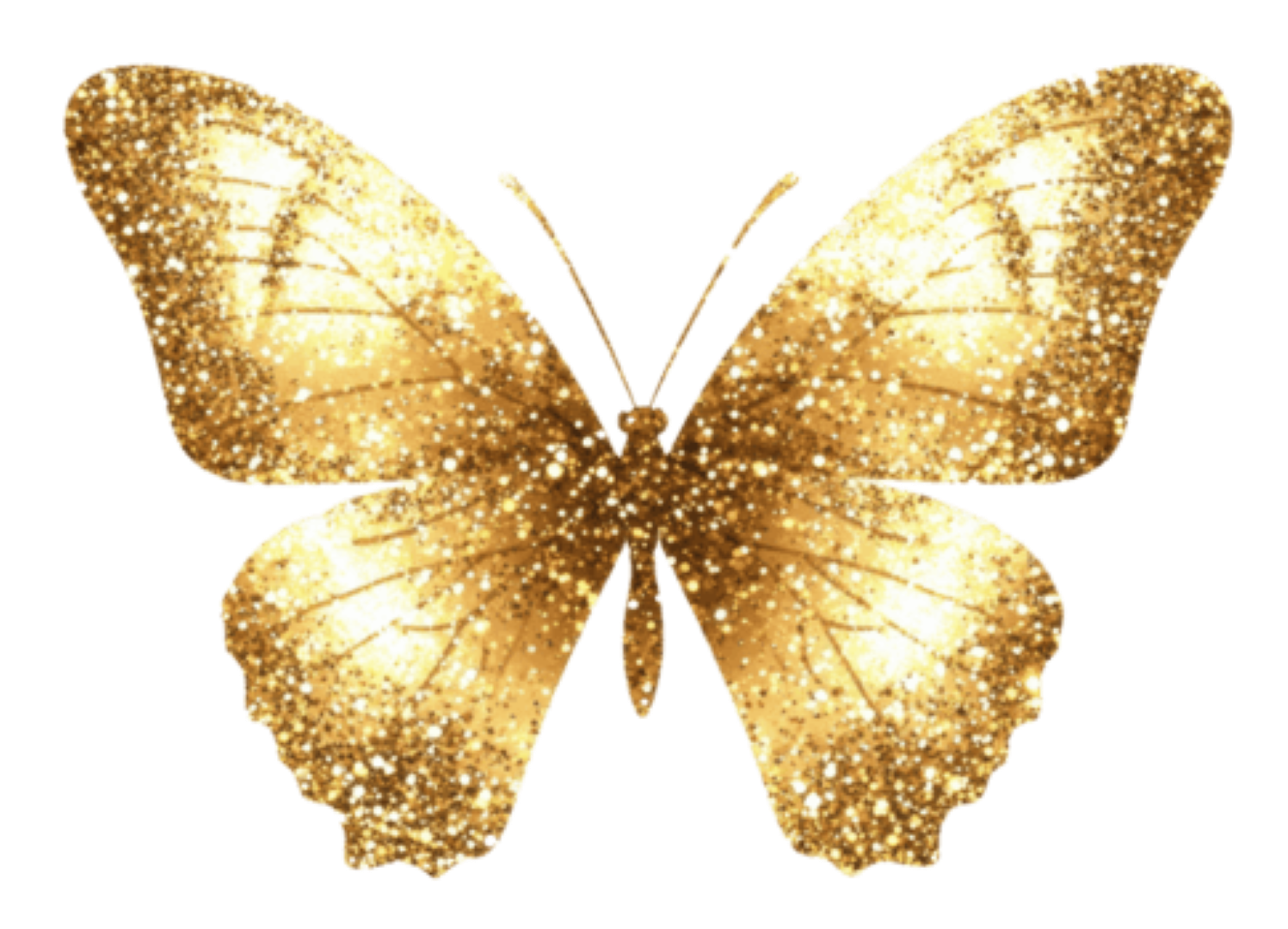 BUTTERFLY GLITTER 800133